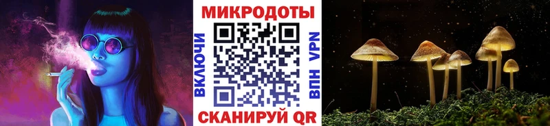 blacksprut ссылки Красный Сулин Псилоцибиновые грибы GOLDEN TEACHER